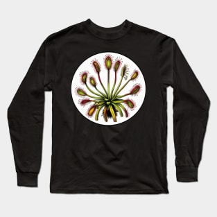 Giant Sundew Plant Beautiful Botanical Drosera Illustration Long Sleeve T-Shirt